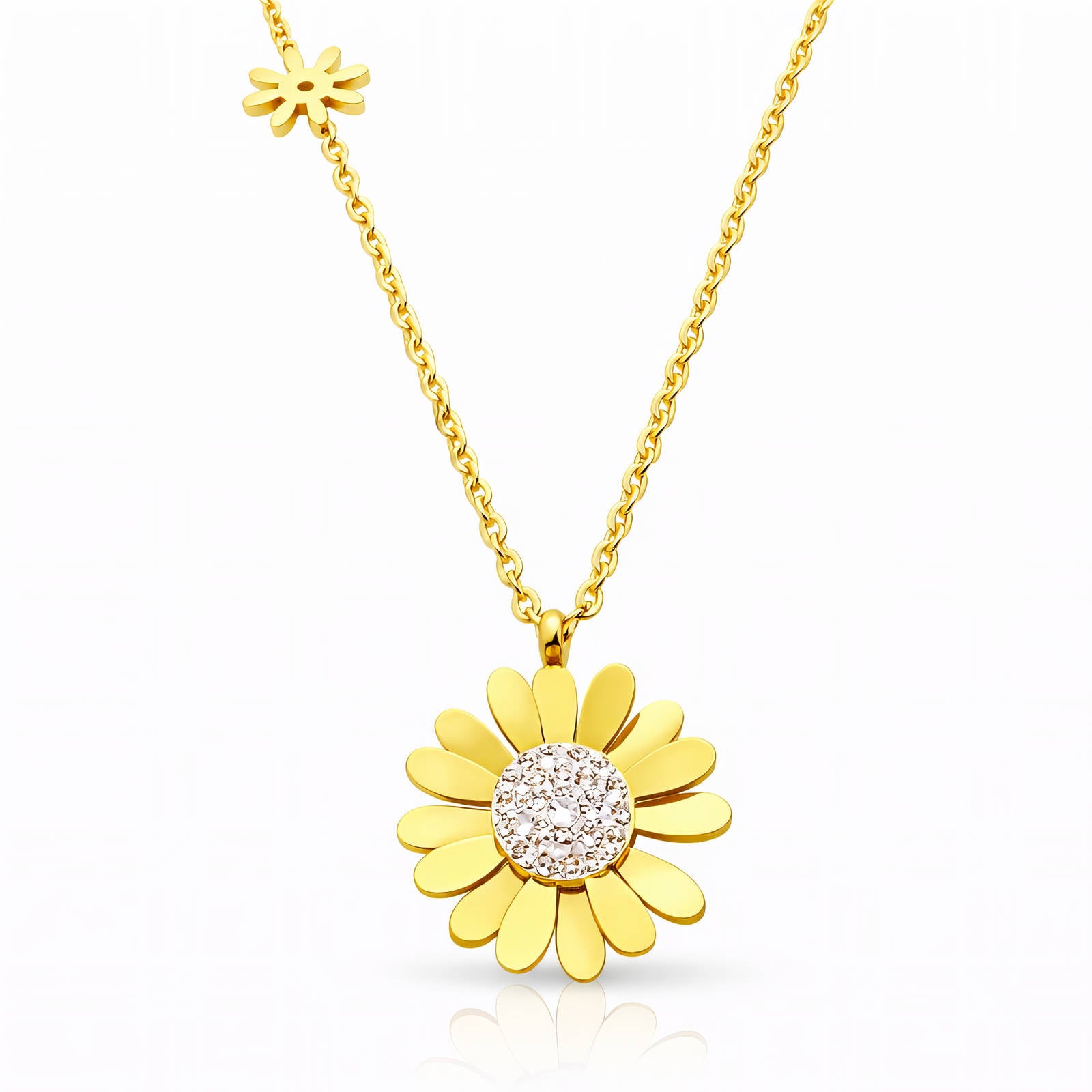 Tournesol Enchaîné