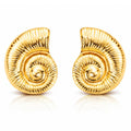 Coquille Spirale