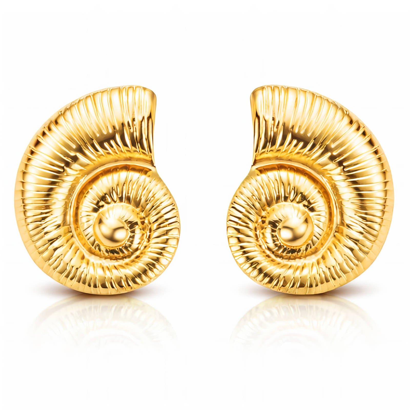 Coquille Spirale