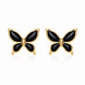 Papillon Noir